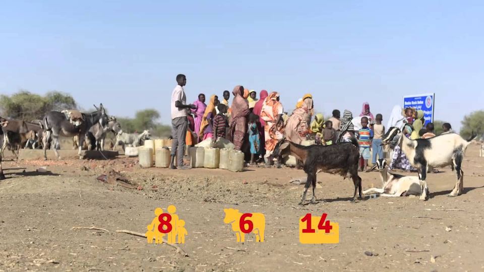 People and livestock gather at a community well in Sudan